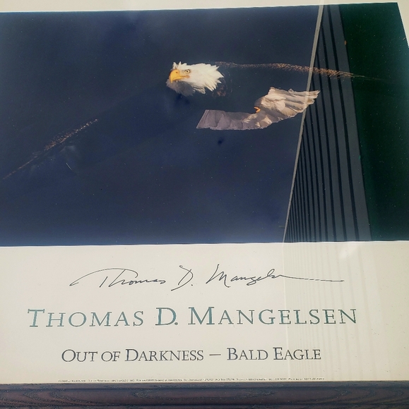 Thomas D. Mangelsen Out Of Darkness Bald Eagle Signed Framed Print Art 34"x28" - Picture 5 of 16